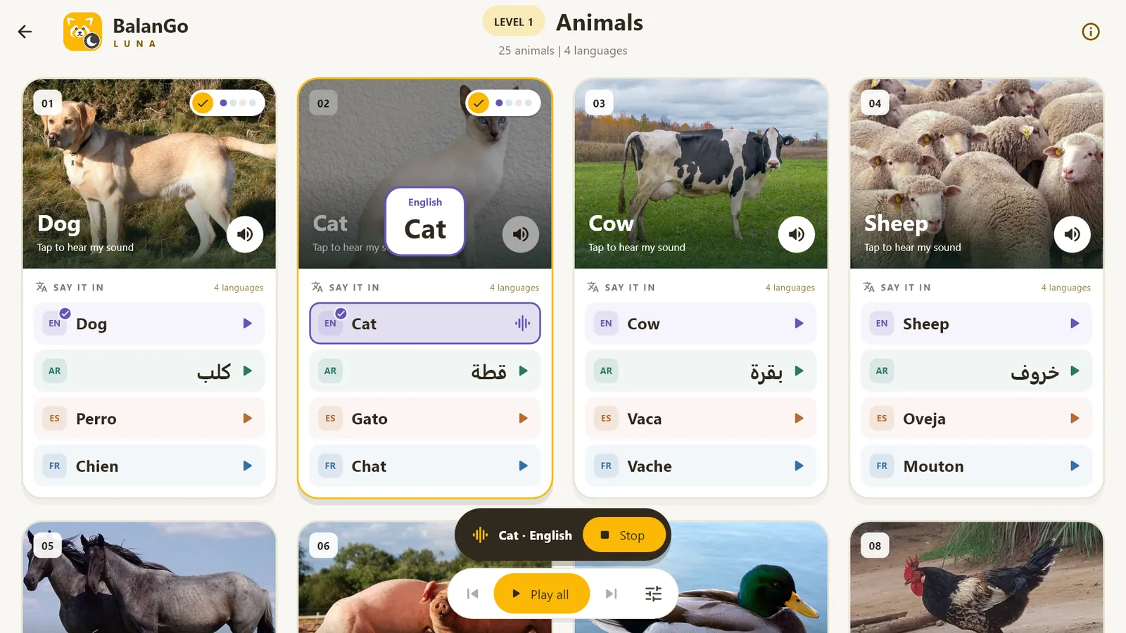Animals level: each card has a photo and the word in English, Arabic, Spanish and French